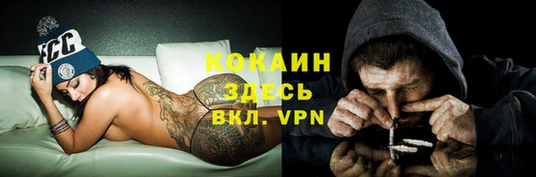 гашиш Богданович
