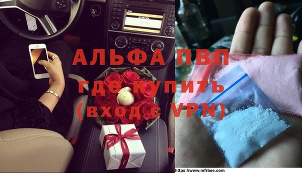 гашиш Богданович
