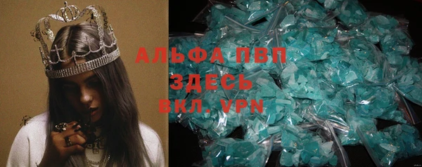гашиш Богданович