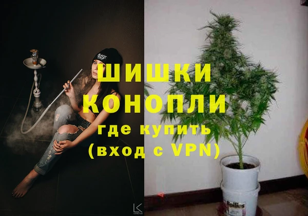 ПСИЛОЦИБИНОВЫЕ ГРИБЫ Богородск