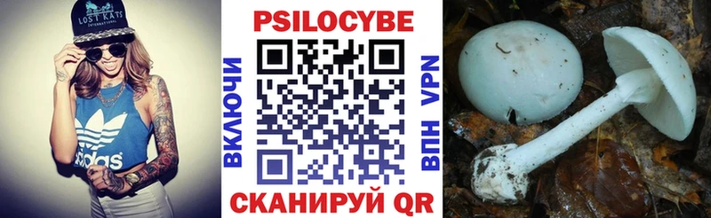 наркошоп  Краснокамск  Галлюциногенные грибы мицелий 